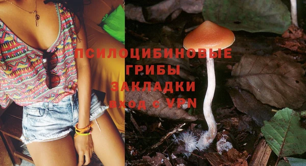 ГАЛЛЮЦИНОГЕННЫЕ ГРИБЫ Абдулино