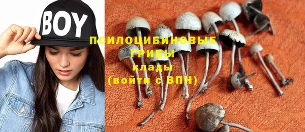 spice Алзамай